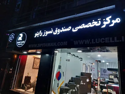 گاوصندوق راینو