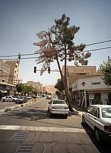 فروشگاه شیرآلات و تجهیزات داخلی ساختمان