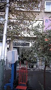 فروشگاه مرکزی گاو صندوق