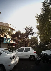 فروشگاه رنگ و ابزار پیمان