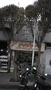 تهران بذر