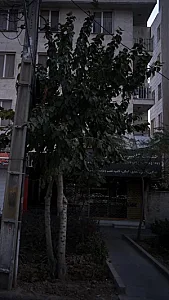 خدمات کامپیوتر
