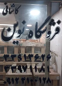 فروشگاه نوین (کاشانی)