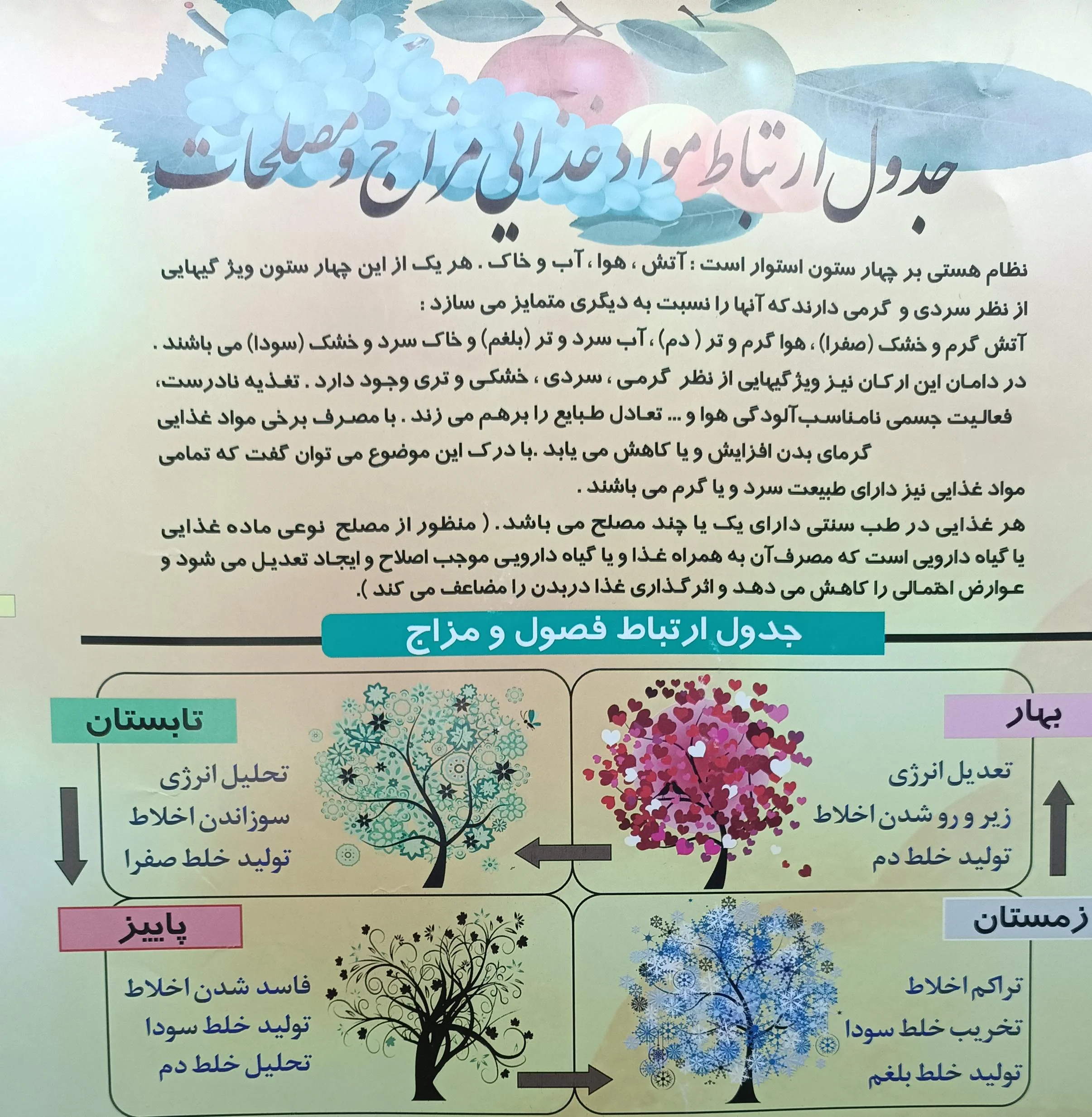 داروخانه دکتر صاحبدل برهان