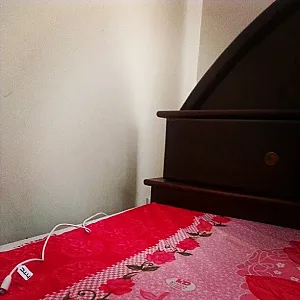 کافه آرشو