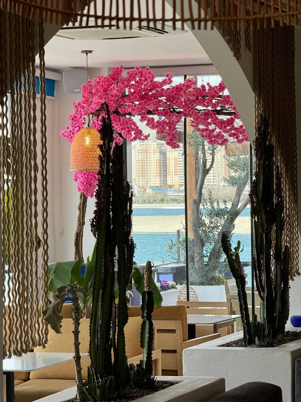 کافه رانشه - تصویر 2
