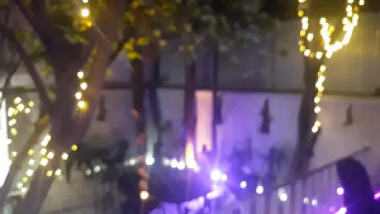 کافه مهربان