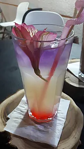 کافه کتاب شنایا