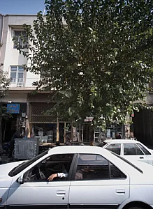 فروشگاه سینک و شیرآلات