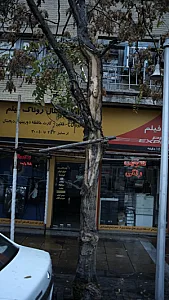روناک فیلم