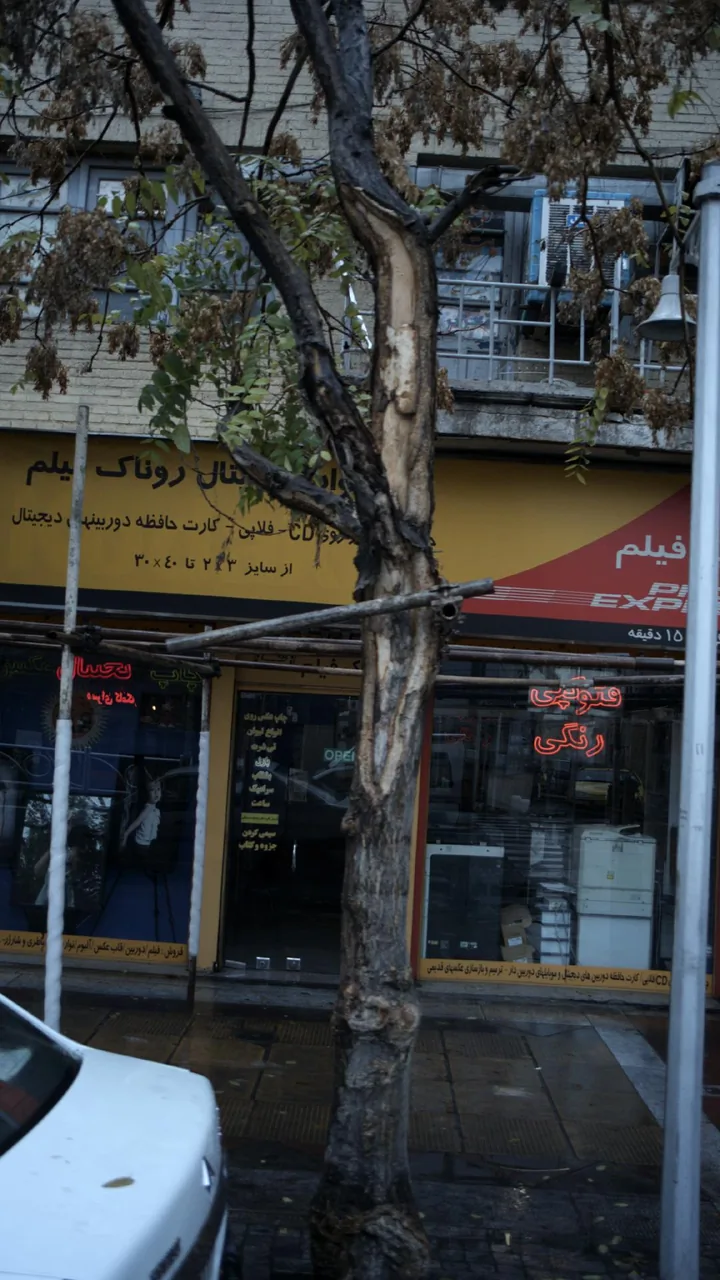 روناک فیلم