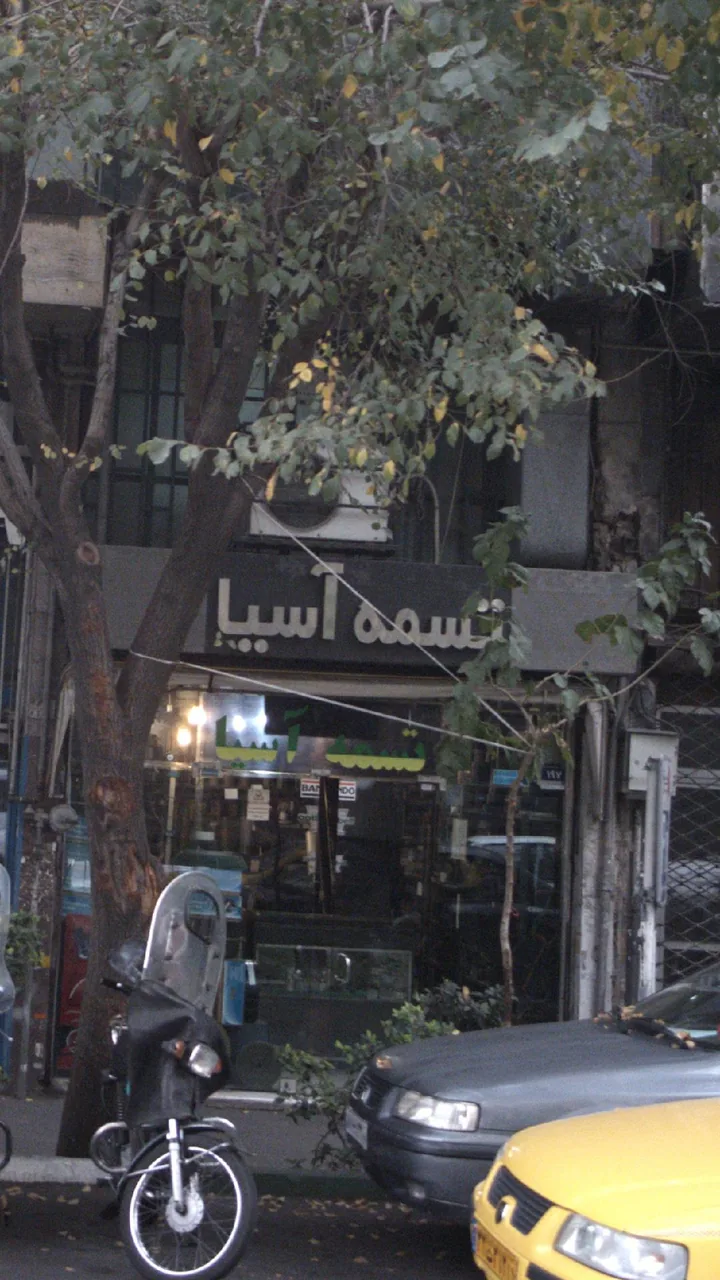تسمه آسیا - تصویر 2