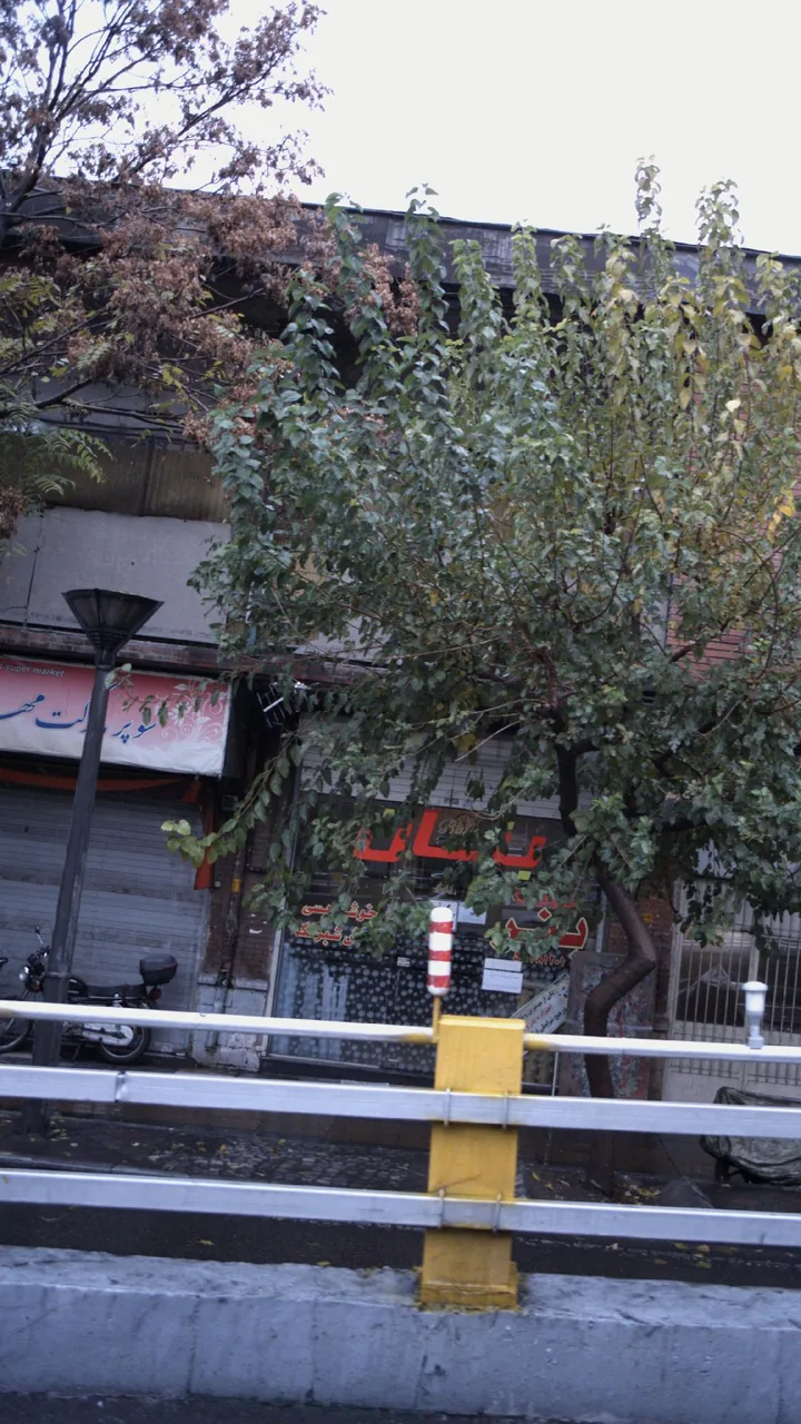 بنان