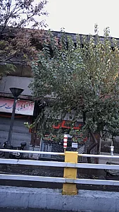 بنان