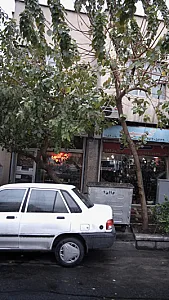 فتوکپی شهرام