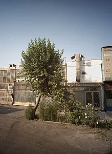 ناهار و شام