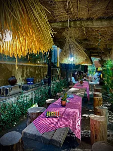 کافه گلخانه دمنوش و دانش ناربلا