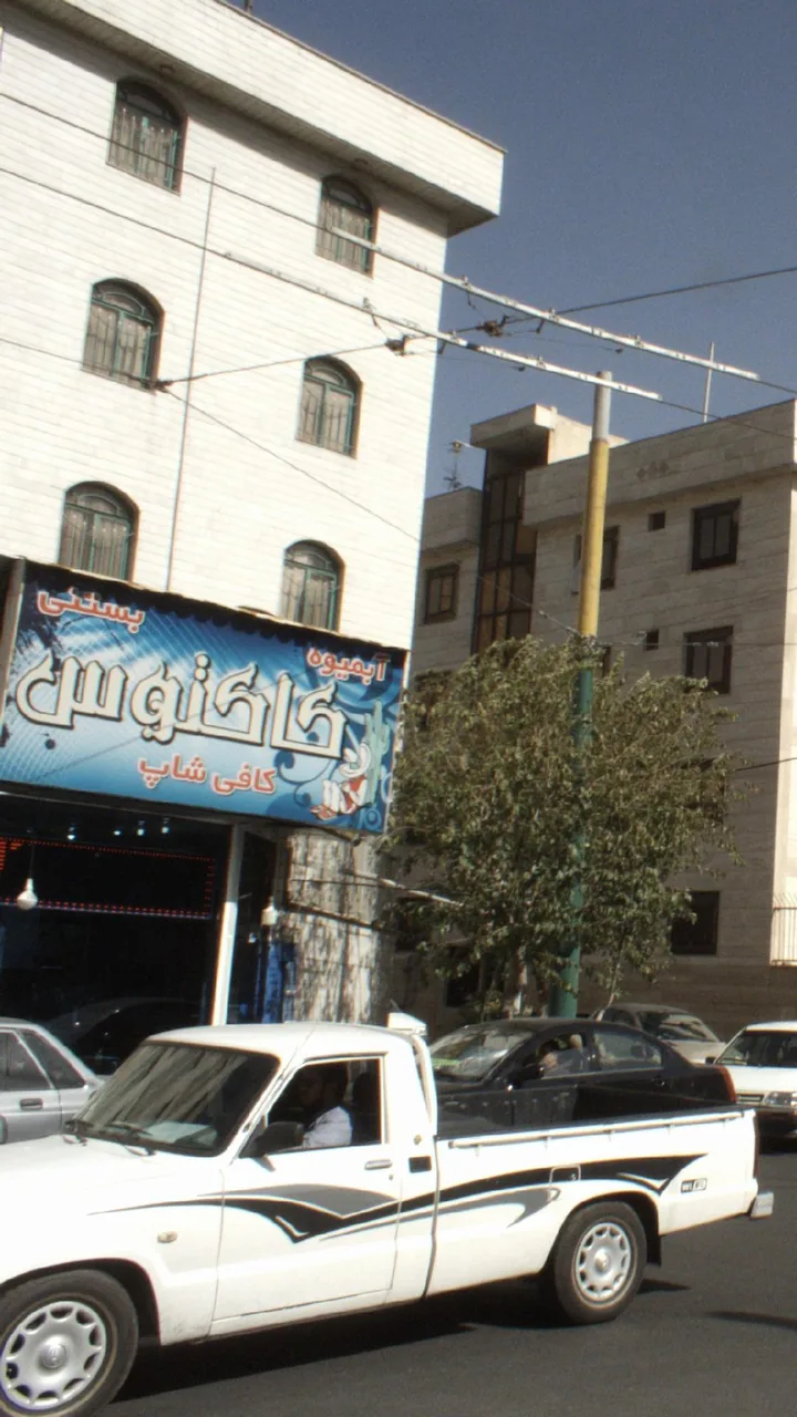 کافه کاکتوس - تصویر 2