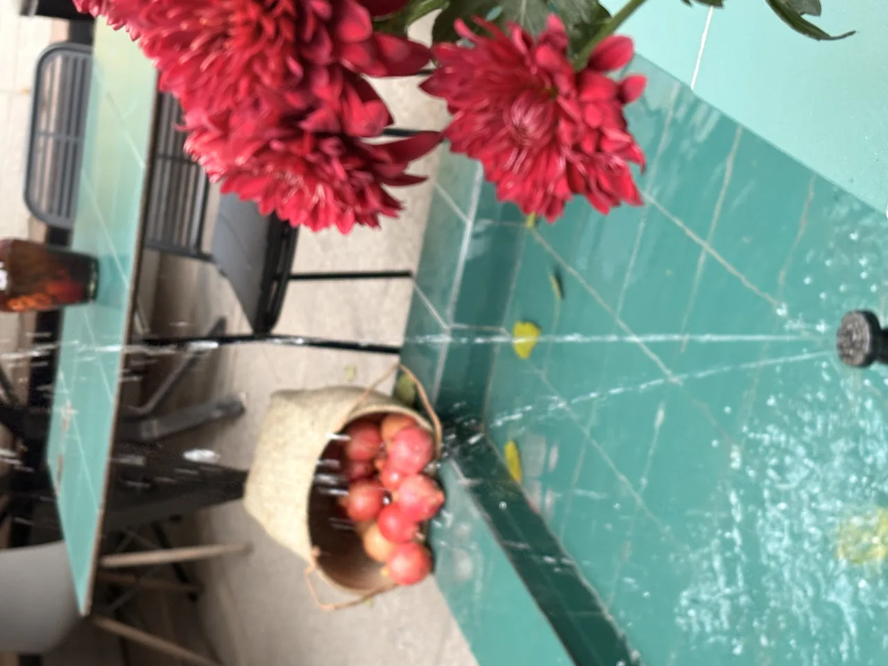 کافه فٌرسه43 - تصویر 4