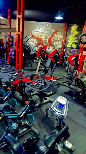 باشگاه بدنسازی رکس