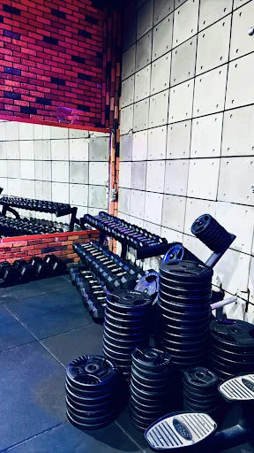 باشگاه بدنسازی رکس