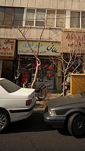 مهر و پلاک سلطانی