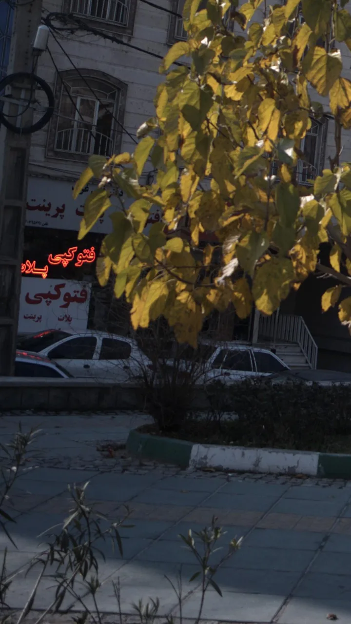 فتوکپی - تصویر 2