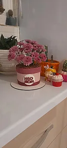 کیک و شیرینی خانگی آلستر