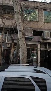 هلال سبز صنعت