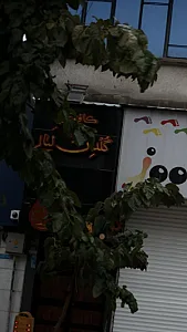 کافه گلدن لیالی