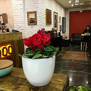 کافه گردو