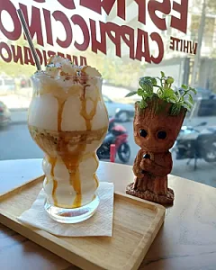 ژین کافه