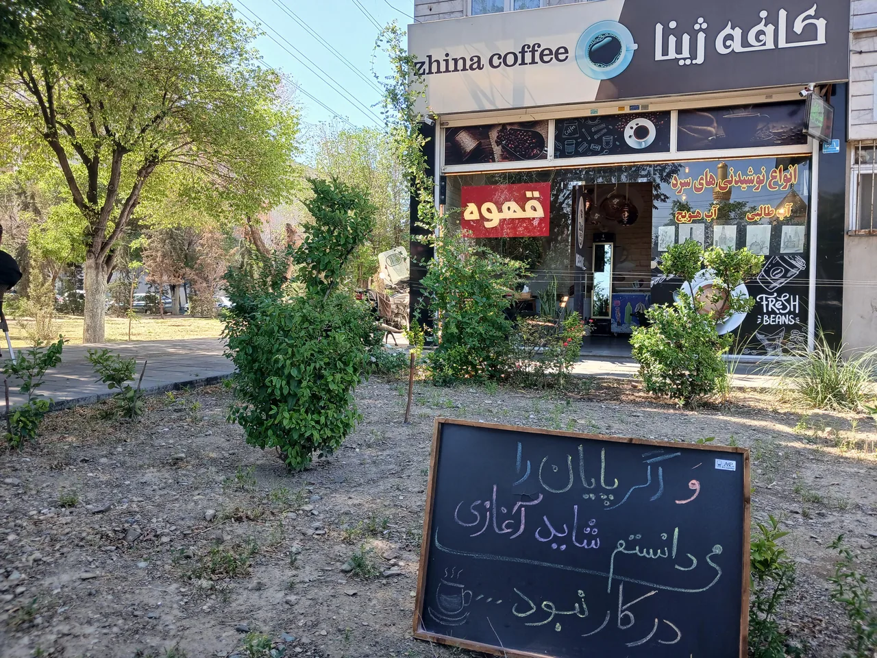 کافه ژینا - تصویر 7