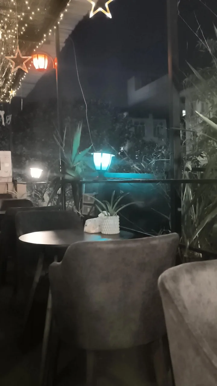 کافه دارکوب - تصویر 6