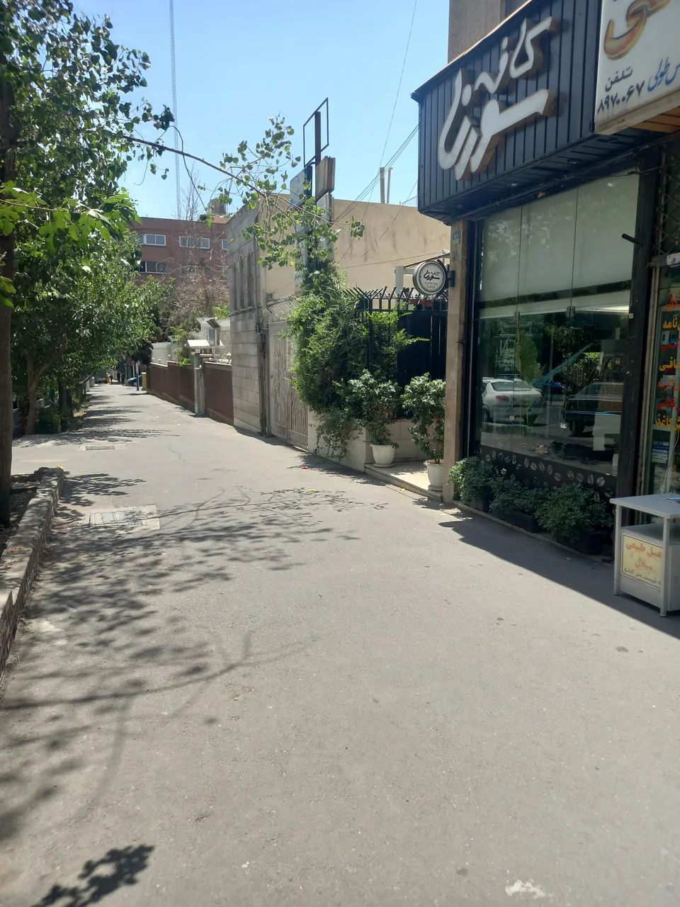 کافه سورنا - تصویر 2