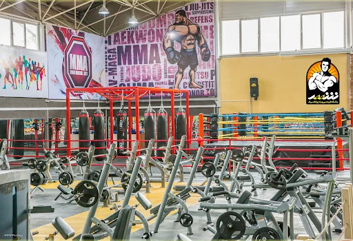 مجموعه ورزشی شهر