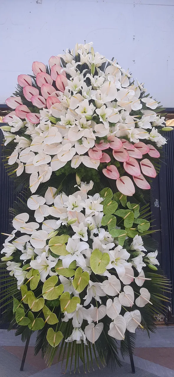گل فروشی آرکس