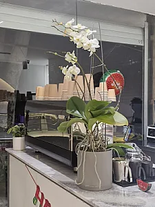 کافه بیکری حیات