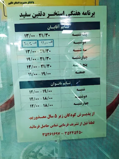 استخر دلفین سفید