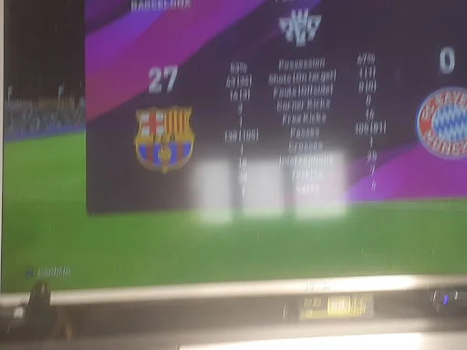 استخر دلفین سفید