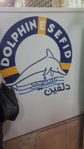 استخر دلفین سفید