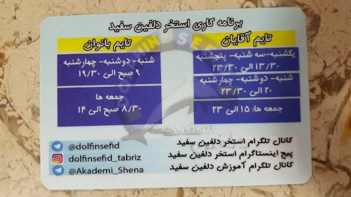 استخر دلفین سفید