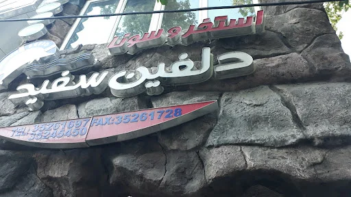 استخر و سونای دلفین سفید - تصویر 8