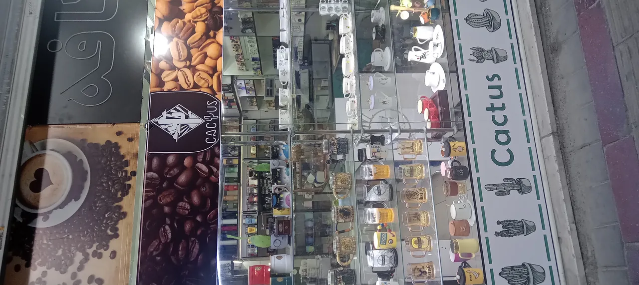 کافه کاکتوس
