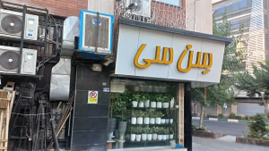 سرزمین سبز پایا