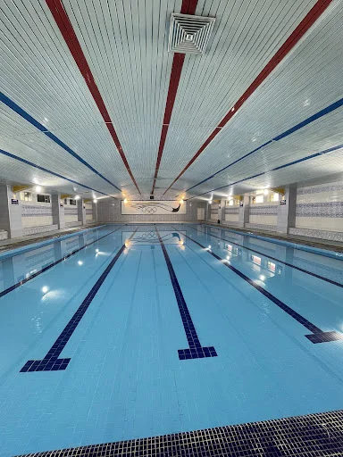 استخر میرداماد