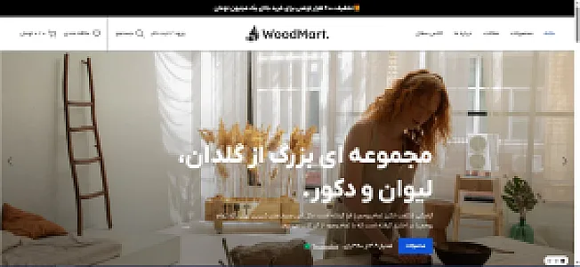 طراحی سایت و هاست شایگانی