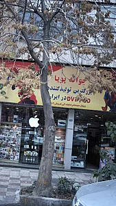 رویال سیستم