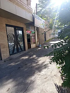 تاکسی تلفنی پا به پا