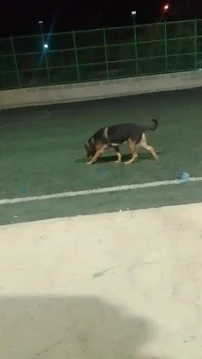 زمین چمن مصنوعی ائل گلی تبریز